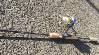 20230129_schelm1-320x180.jpg
